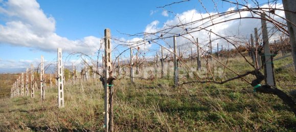 4 غرف نوم منزل في Castel Ritaldi, Italy رقم 71039 19