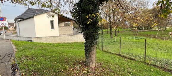 3 bedrooms House in Bootzheim, France No. 156033 11