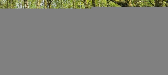 2غرفة شقة في Sinnai, Italy رقم 27453 19