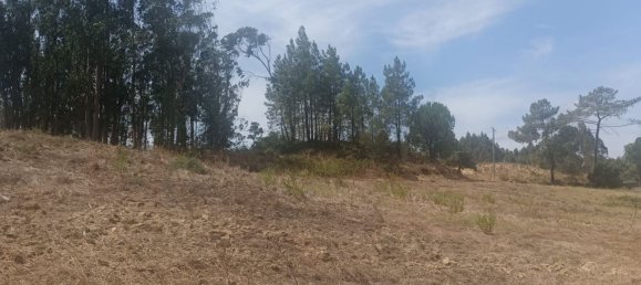 2880m² Land in Rio Maior, Portugal No. 325811 12