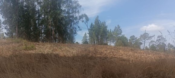 2880m² Land in Rio Maior, Portugal No. 325811 14