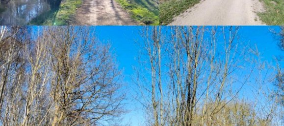 2 bedrooms Apartment in Luneburg, Germany No. 296419 11