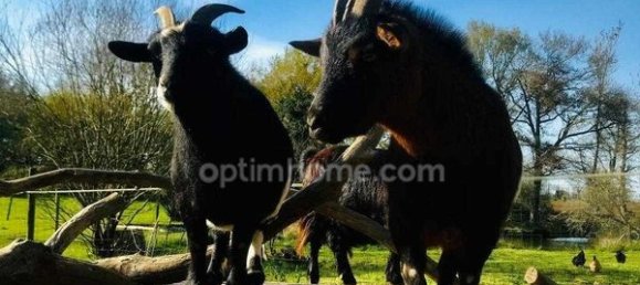 3 Schlafzimmer Haus in Elven, France, Nr. 188970 7