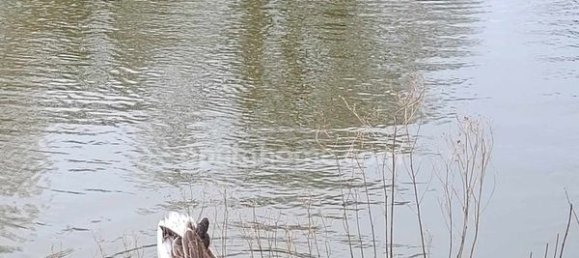 3 Schlafzimmer Haus in Elven, France, Nr. 188970 8