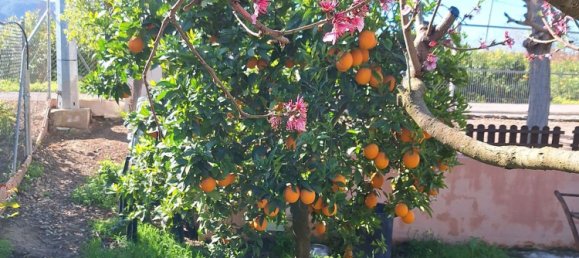 Casa T1 em Llano de Brujas, Spain N.º 150162 2