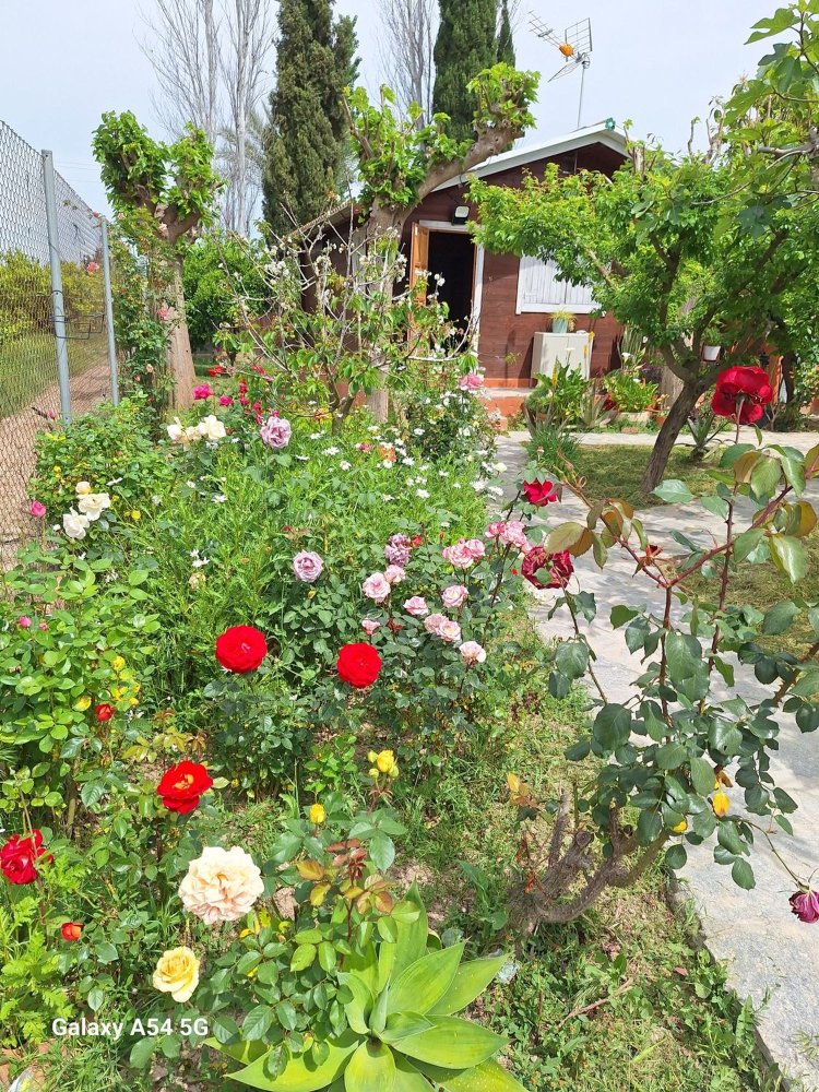 1 Schlafzimmer Haus in Llano de Brujas, Spain, Nr. 150162