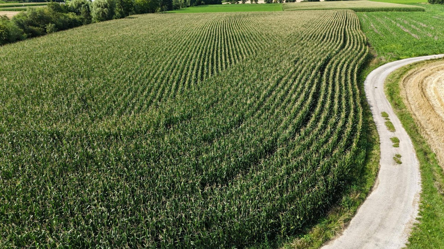 Terrain à St. Leonhard am Forst, Austria 6500m² No. 231758