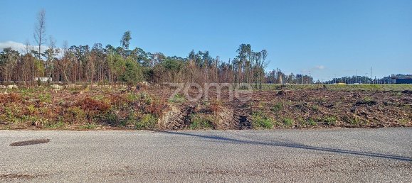 Terreno en Cacia, Portugal 20000 m² No. 73960 8