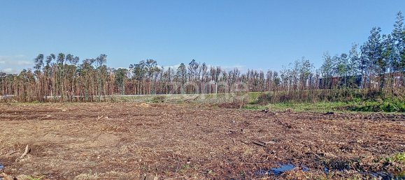 Terreno en Cacia, Portugal 20000 m² No. 73960 11