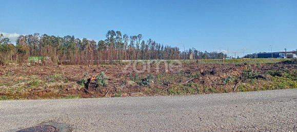 Terreno en Cacia, Portugal 20000 m² No. 73960 10