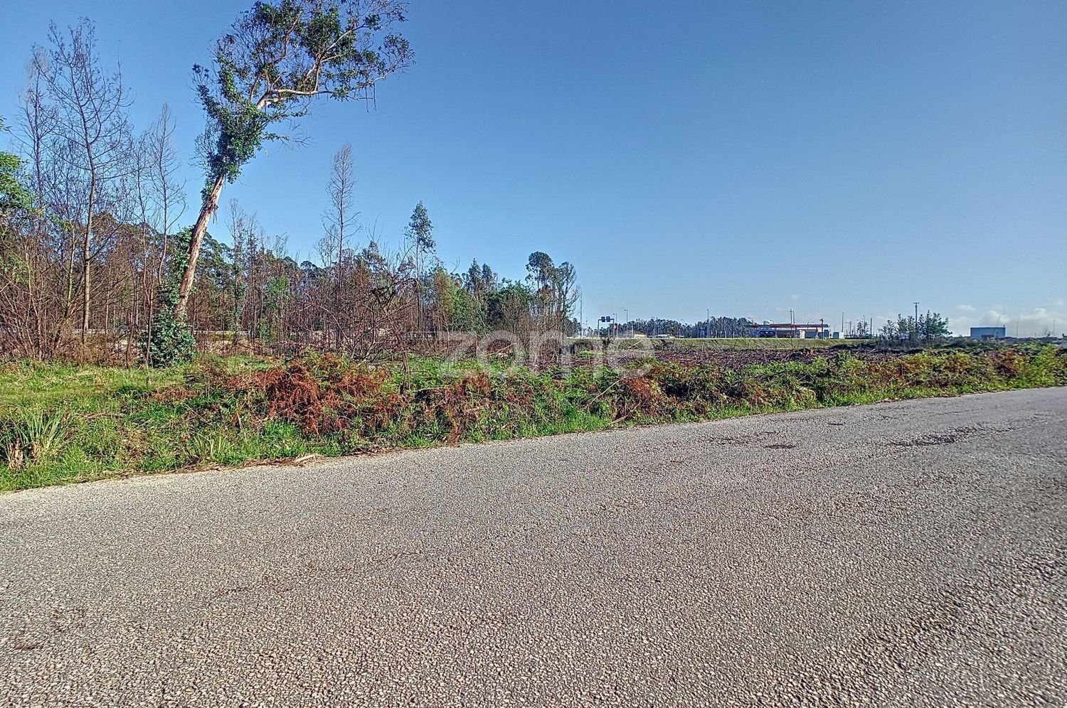 Terreno en Cacia, Portugal 20000 m² No. 73960