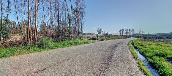 Terreno en Cacia, Portugal 20000 m² No. 73960 2