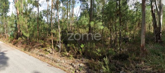 Terreno en Cacia, Portugal 20000 m² No. 73960 17