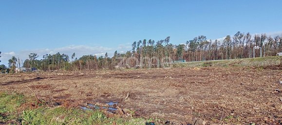 Terreno en Cacia, Portugal 20000 m² No. 73960 13