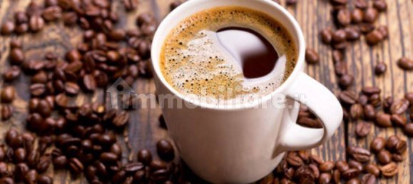 3 rooms Commercial property in Turin, Italy No. 212345 13