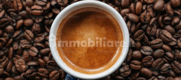 3 rooms Commercial property in Turin, Italy No. 212345 22