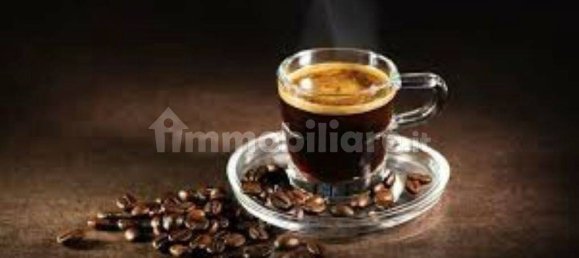 3 rooms Commercial property in Turin, Italy No. 212345 14