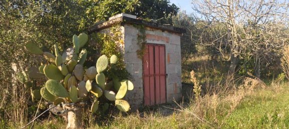 2 rooms House in Rosignano Marittimo, Italy No. 142581 17