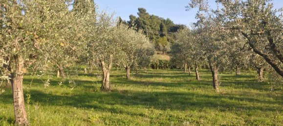 2 rooms House in Rosignano Marittimo, Italy No. 142581 20