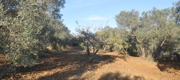 2 rooms House in Rosignano Marittimo, Italy No. 142581 21