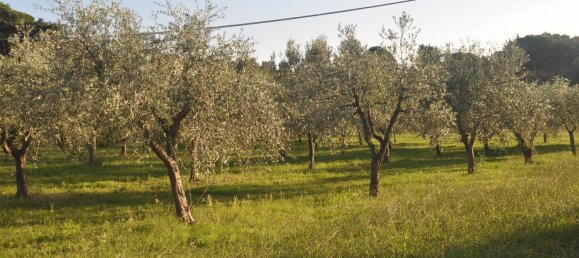 2 rooms House in Rosignano Marittimo, Italy No. 142581 19