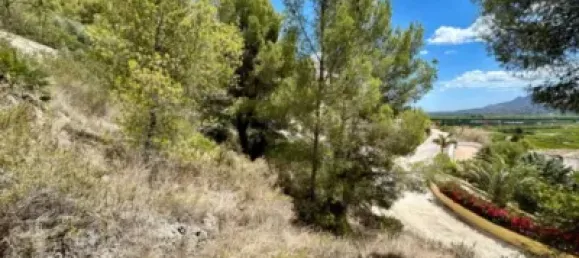 Земельный участок 840м² в Пего, Испания № 190552 5