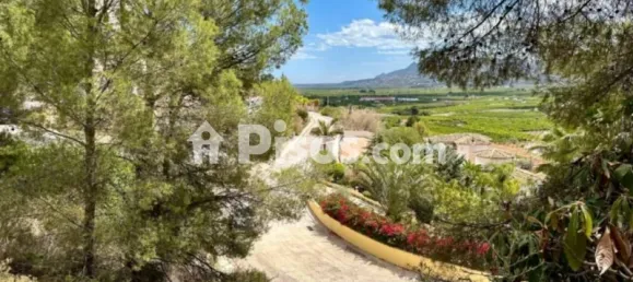 Земельный участок 840м² в Пего, Испания № 190552 4