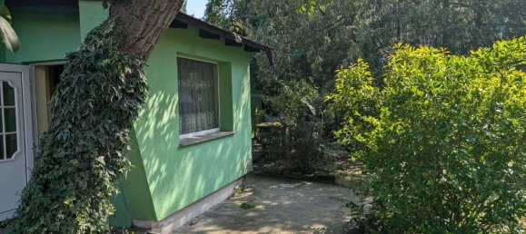 4 bedrooms House in Biesdorf, Germany No. 271329 3