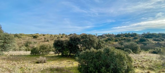 Grundstück in Valdemorillo, Spain, Nr. 118433 7