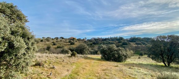 Grundstück in Valdemorillo, Spain, Nr. 118433 6