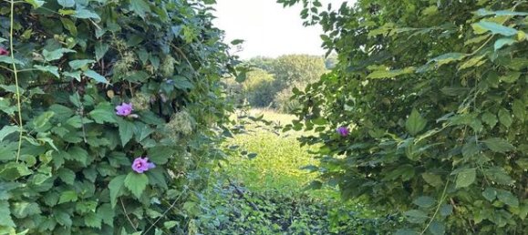 2 chambres Maison à Charente, France No. 300586 12