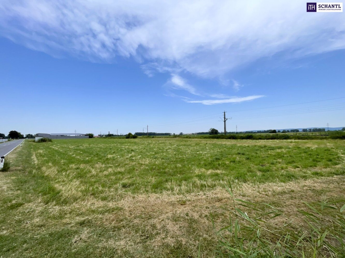  Land in Mitterndorf an der Fischa, Austria No. 203470