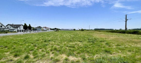 Land in Mitterndorf an der Fischa, Austria No. 203470 4