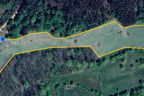 3 bedrooms House in Celorico de Basto, Portugal No. 350369