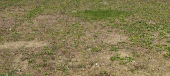 10 غرف نوم منزل في Asti, Italy رقم 136404 5