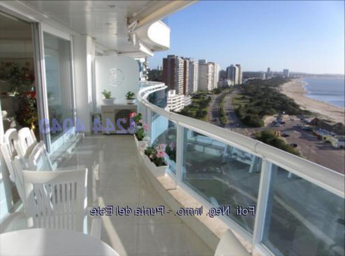 3 غرف نوم شقة في Punta del Este, Uruguay رقم 5434