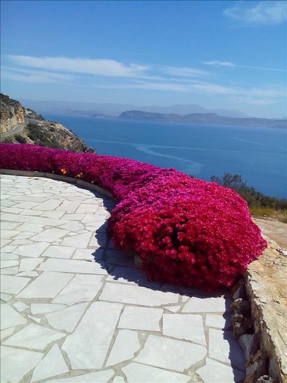 400m² Villa in Arcadia, Greece No. 6520