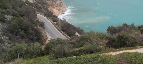 400m² Villa in Arcadia, Greece No. 6520 2