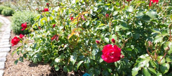 Таунхаус с 3 спальнями в Рудные Горы, Германия № 85308 7