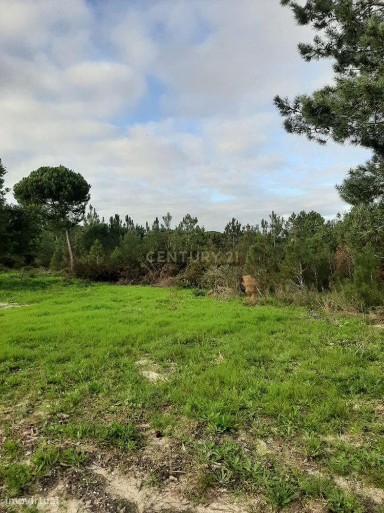 17250m² Land in Sesimbra, Portugal No. 248794