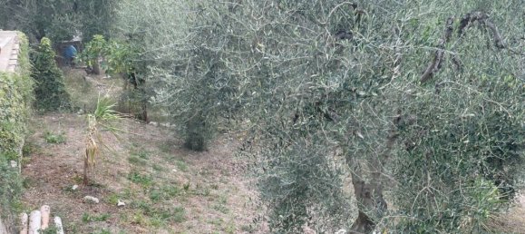 6 rooms Apartment in Vieste, Italy No. 21285 24