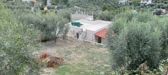 6 rooms Apartment in Vieste, Italy No. 21285 18