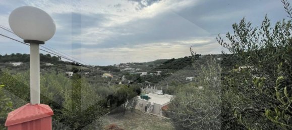 6 rooms Apartment in Vieste, Italy No. 21285 10