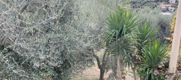 6 rooms Apartment in Vieste, Italy No. 21285 25