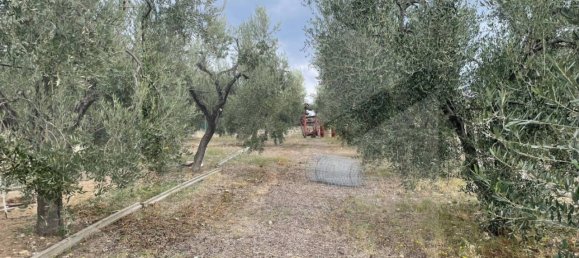 6 rooms Apartment in Vieste, Italy No. 21285 22