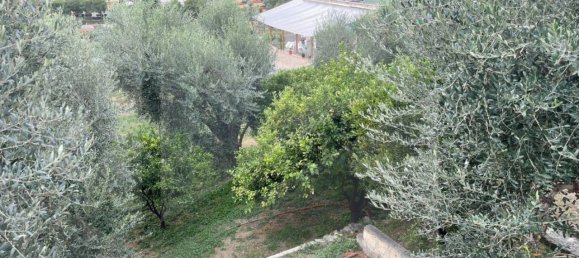 6 rooms Apartment in Vieste, Italy No. 21285 20