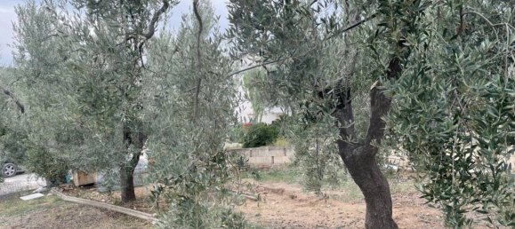 6 rooms Apartment in Vieste, Italy No. 21285 26