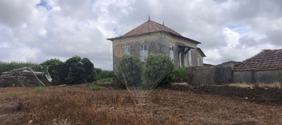 3 chambres Maison à Avanca, Portugal No. 22325 20