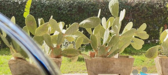 5-salle Villa à Lequile, Italy No. 120861 29