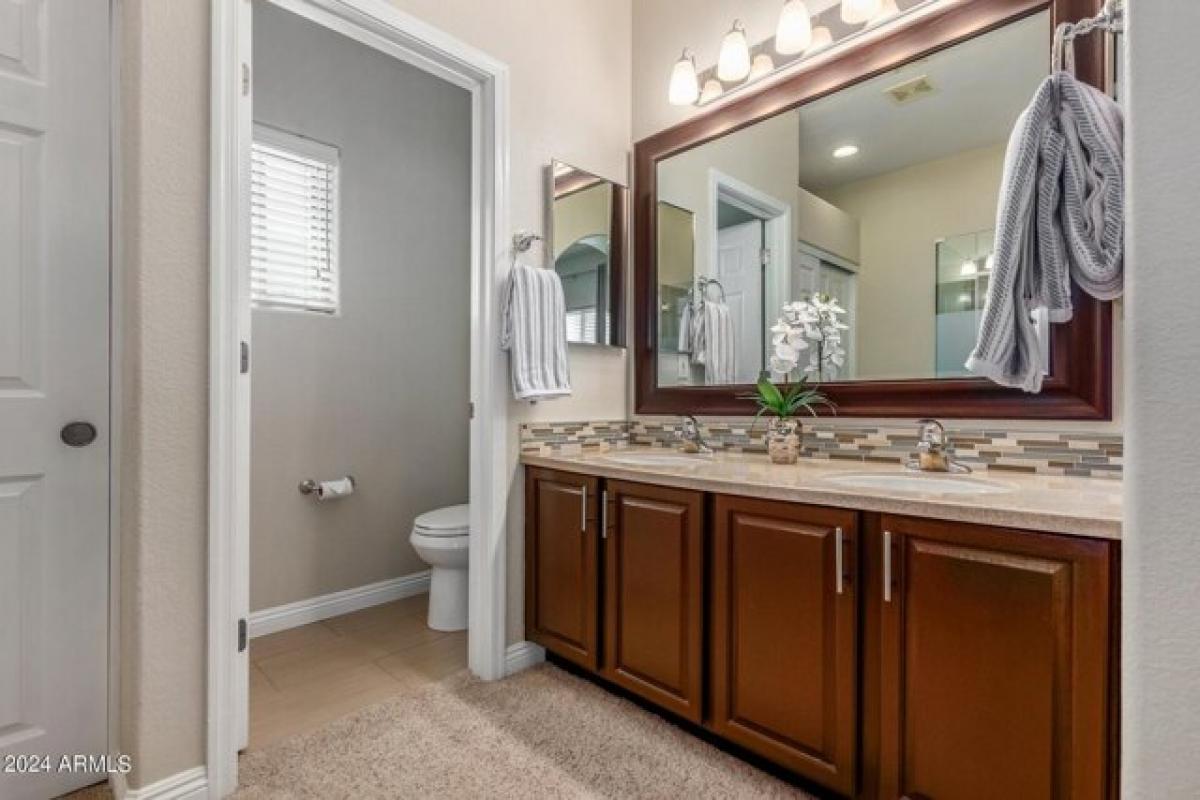 2 bedrooms House in Tempe, USA No. 434398